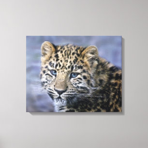 Impression sur toile de petit léopard