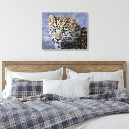 Impression sur toile de petit léopard (Insitu(Chambre))