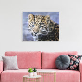 Impression sur toile de petit léopard (Insitu(Salon))