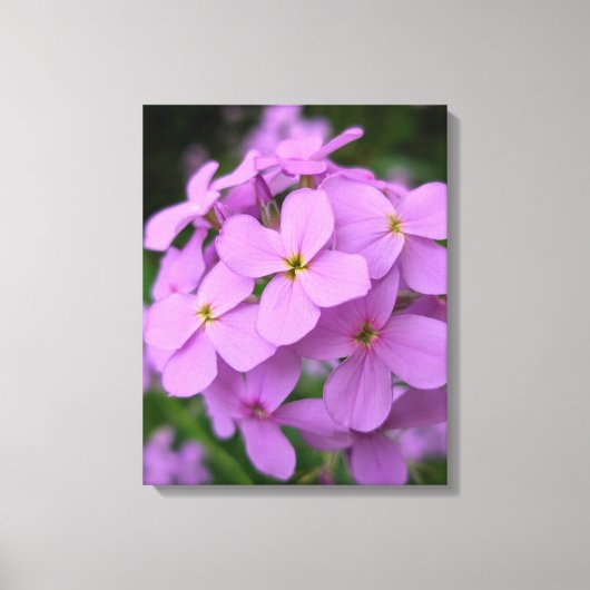Impression sur toile de photographie de nature (Recto)
