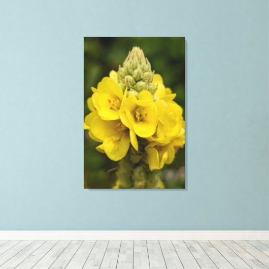 Impression sur toile de photographie de nature (Insitu (Plancher de Bois))