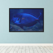 Impression sur toile de poisson tropical bleu (Insitu (Plancher de Bois))