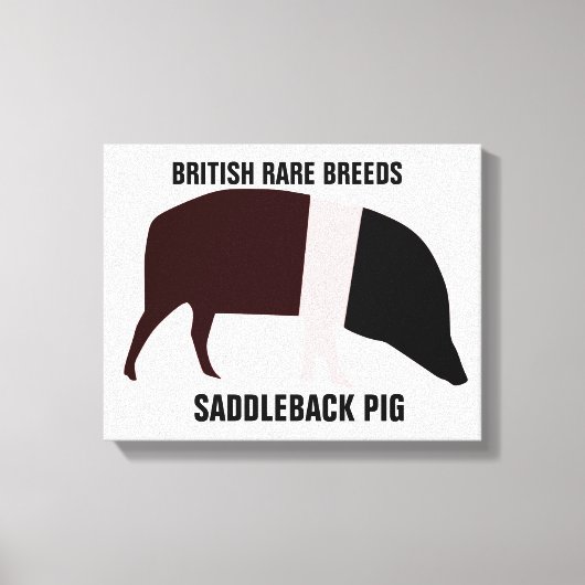 Impression sur toile de porc Saddleback (Recto)