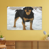 Impression sur toile de Rottweiler (Insitu(Salon))