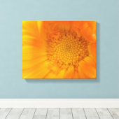 Impression sur toile de souci orange macro (Insitu (Plancher de Bois))