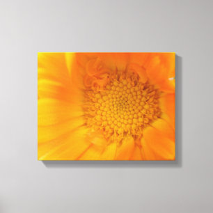 Impression sur toile de souci orange macro