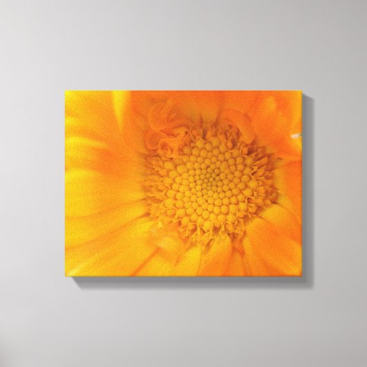 Impression sur toile de souci orange macro (Recto)
