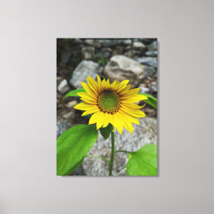 impression sur toile de tournesol unique