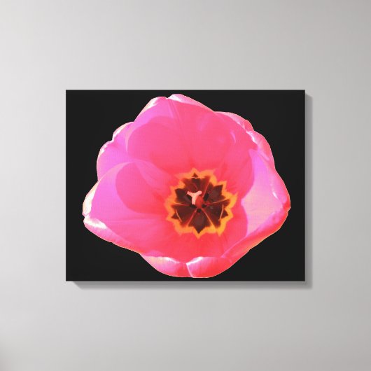Impression sur toile de tulipe rose (Recto)