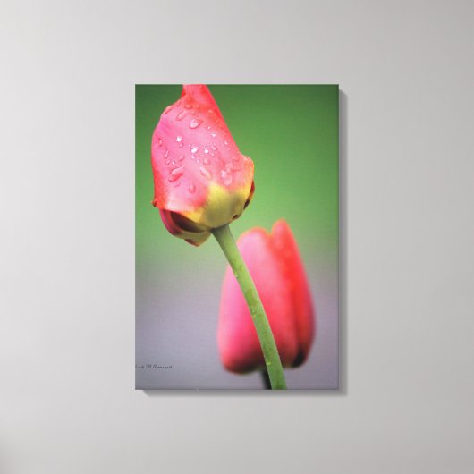 Impression sur toile de tulipes roses (Recto)