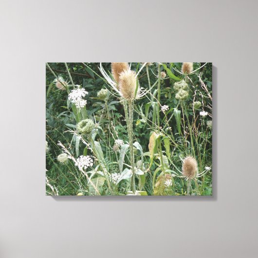 Impression sur toile des herbes sauvages (Recto)