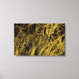 Impression sur toile d'herbe à la lumière dorée