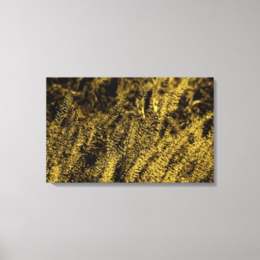 Impression sur toile d'herbe à la lumière dorée (Recto)