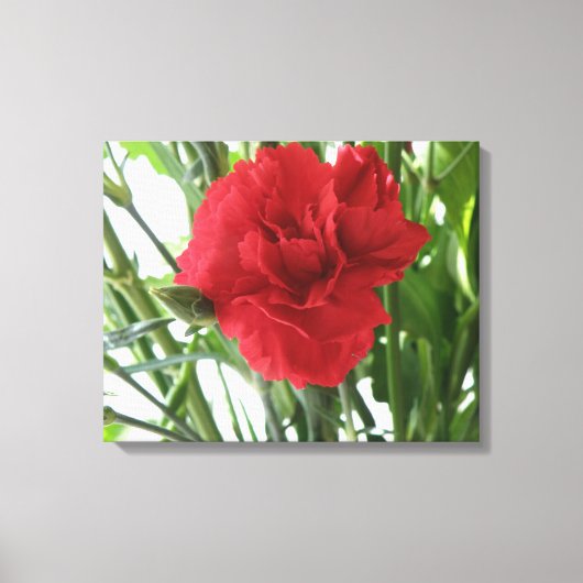 Impression sur toile d'œillet rouge (Recto)