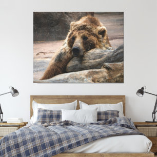 Impression sur toile d'ours grizzly endormi étiré