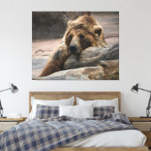 Impression sur toile d'ours grizzly endormi étiré (Insitu(Chambre))