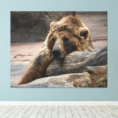 Impression sur toile d'ours grizzly endormi étiré (Insitu (Plancher de Bois))