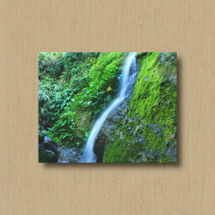 Impression sur toile d'une cascade dans la nature 