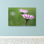 Impression sur toile Élégance de marguerite (Insitu (Plancher de Bois))
