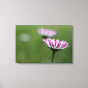 Impression sur toile Élégance de marguerite