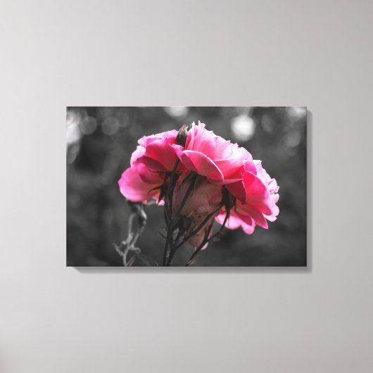 Impression sur toile - Élégance de rose rose (Recto)