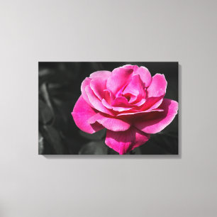 Impression sur toile Élégance Rose Rose