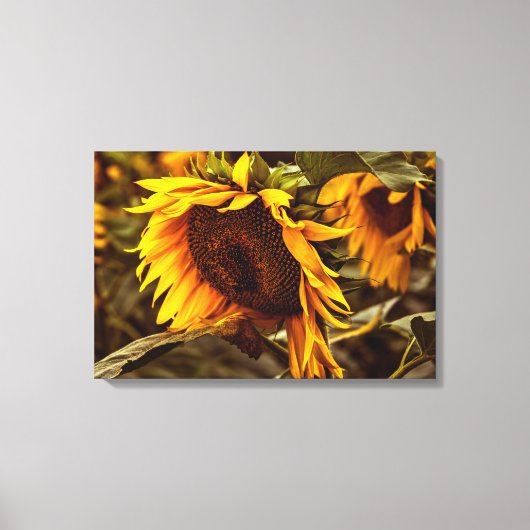 Impression sur toile Elégance Tournesol (Recto)