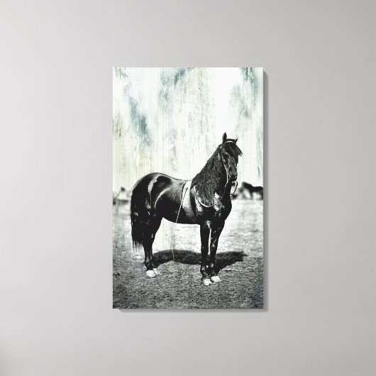 Impression sur toile encadrée de cheval de l'Union (Recto)