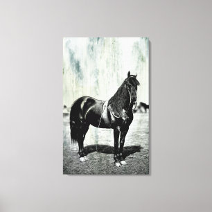 Impression sur toile encadrée de cheval de l'Union