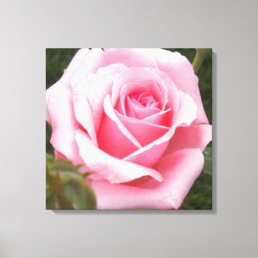 Impression sur toile enveloppée de rose rose (Recto)
