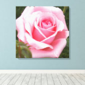 Impression sur toile enveloppée de rose rose (Insitu (Plancher de Bois))