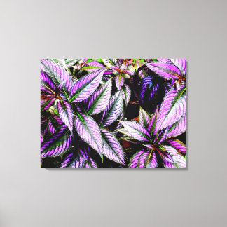 Impression sur toile enveloppée 'Violet'