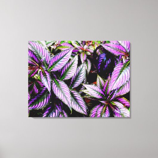 Impression sur toile enveloppée 'Violet' (Recto)