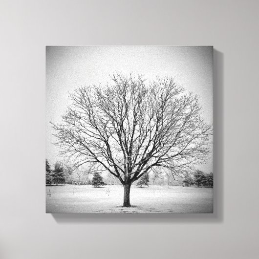 Impression sur toile étendue d'arbre d'hiver (Recto)