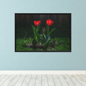 Impression sur toile étendue de Tulipes rouges (Insitu (Plancher de Bois))