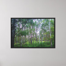 Impression sur toile étendue Quakies