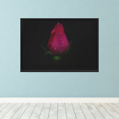 Impression sur toile étendue Rose rose (Insitu (Plancher de Bois))