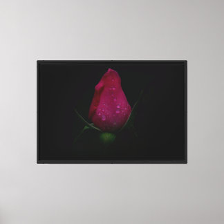 Impression sur toile étendue Rose rose