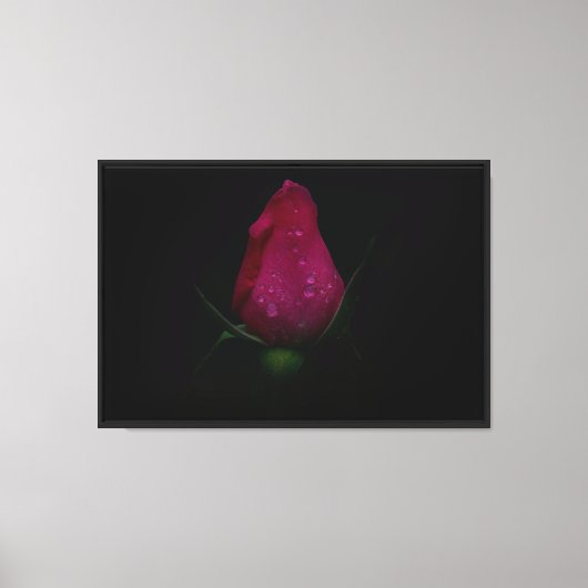 Impression sur toile étendue Rose rose (Recto)