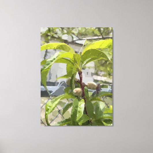 Impression sur toile étirée de pêcher (Recto)