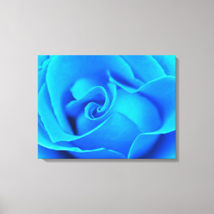Impression sur toile étirée de rose Winter Blues