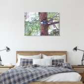 Impression sur toile étirée de sittelle d'hiver (Insitu(Chambre))
