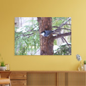 Impression sur toile étirée de sittelle d'hiver (Insitu(Salon))