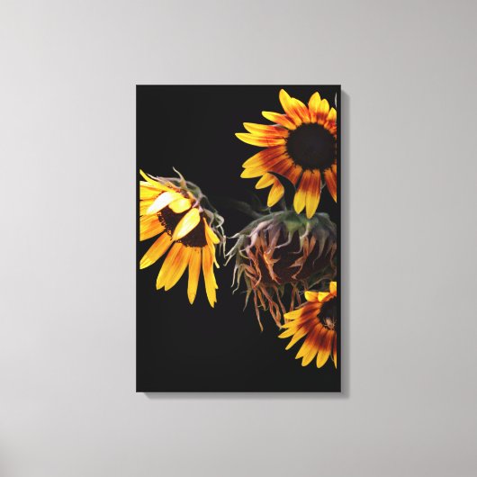 Impression sur toile étirée de tournesol (Recto)
