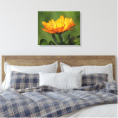 Impression sur toile - Fleur de calendula (Insitu(Chambre))
