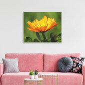 Impression sur toile - Fleur de calendula (Insitu(Salon))