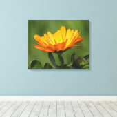 Impression sur toile - Fleur de calendula (Insitu (Plancher de Bois))