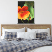 Impression sur toile Fleur de capucine (Insitu(Chambre))