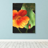 Impression sur toile Fleur de capucine (Insitu (Plancher de Bois))