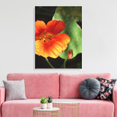 Impression sur toile Fleur de capucine (Insitu(Salon))